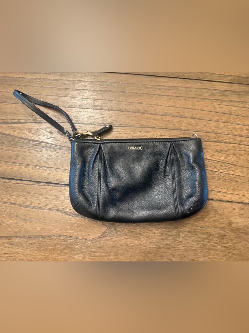 Coach bag/wristlet/handbag